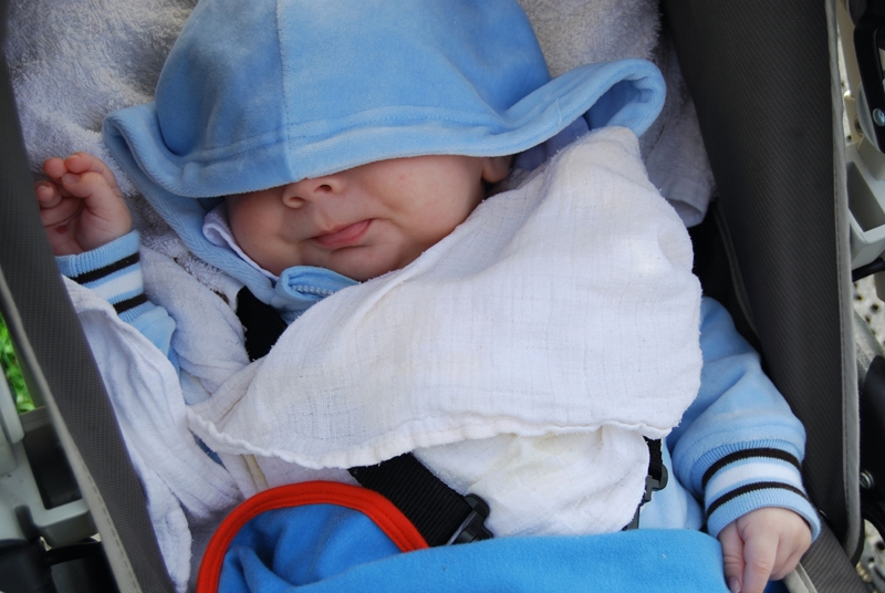 Conrad sleeping 1.jpg